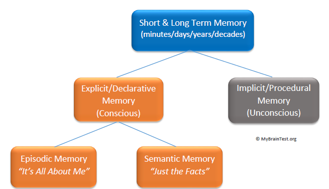 long term memory types